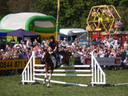 piccie for blog AP lambourn.jpg