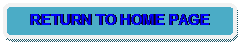 Rounded Rectangle: RETURN TO HOME PAGE