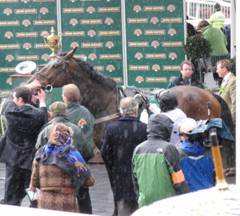 Race 3 - Finian's Rainbow for diary.jpg