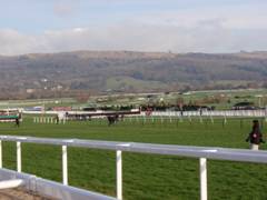 cheltenham racecourse 28 jan 2012 r.jpg