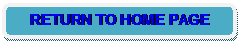 Rounded Rectangle: RETURN TO HOME PAGE