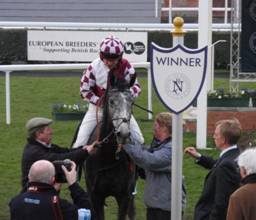 Newbury 26 03 2011 r for blog r.jpg