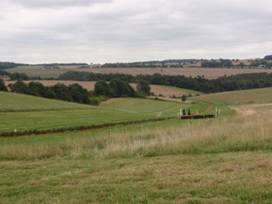 Luckley Farm Gallops.jpg