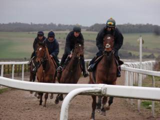 8 Crown Theatre & Lunar Flow & 3 Ways & Our Reward.jpg