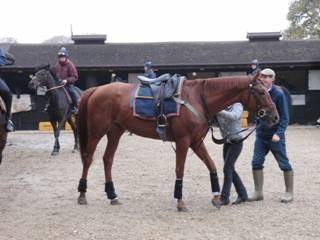 Pride of Pemberley & Wilde Hearted Woman.jpg