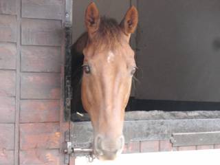 Between The Waters.jpg