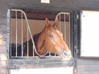 Major Milborne 2.jpg