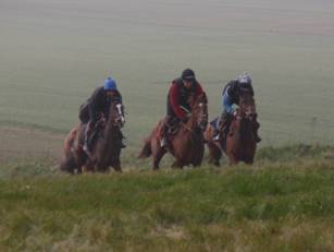 On the gallops 1.jpg