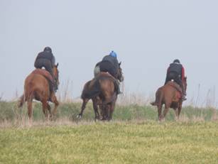 On the gallops 2.jpg