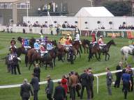 Aintree Day 3 2010 n.jpg