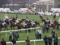 Aintree Day 3 2010 o.jpg