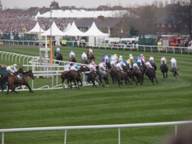 Aintree Day 3 2010 b1.jpg
