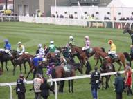 Aintree Day 3 2010 c1.jpg