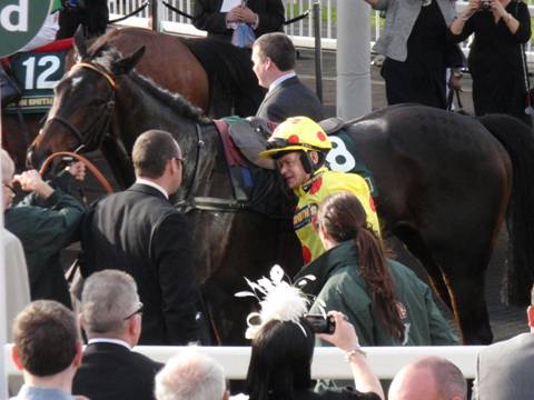 Aintree 09 April 2011 r r.jpg