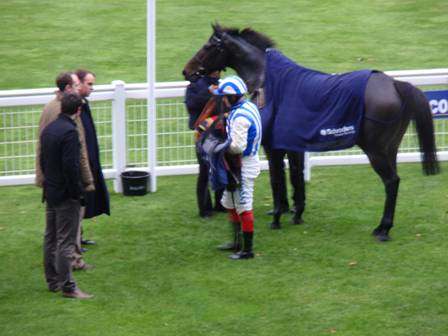 Ascot 01 Nov 08 Thumbnail.jpg