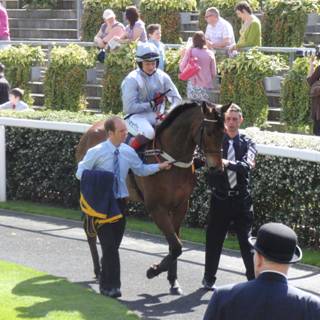 Ascot 10 April 2011 b r.jpg