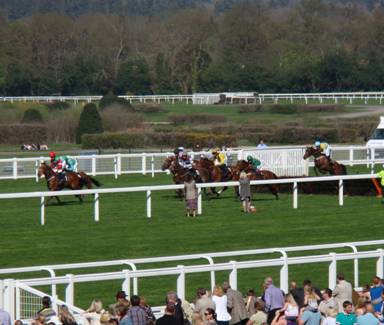 Ascot 10 April 2011 s r.jpg