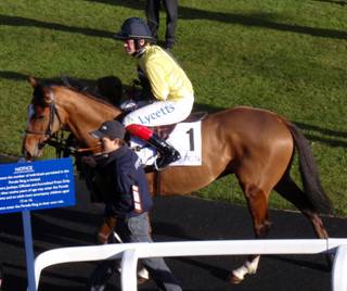 Ascot 17 Jan red1.jpg