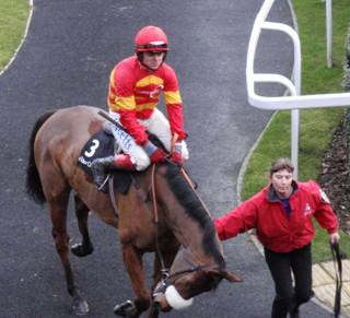 Ascot 17 Jan red11.jpg