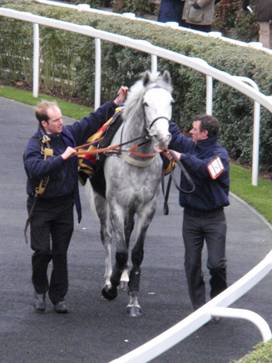 Ascot 22 Jan 2011 walkon d r.jpg