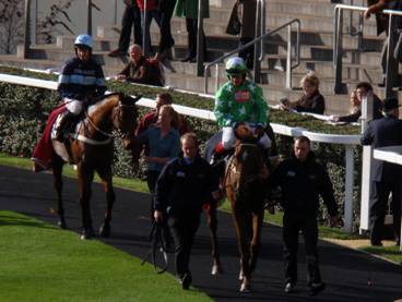 Ascot race 1 d r.jpg