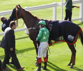 Ascot race 1 e r.jpg