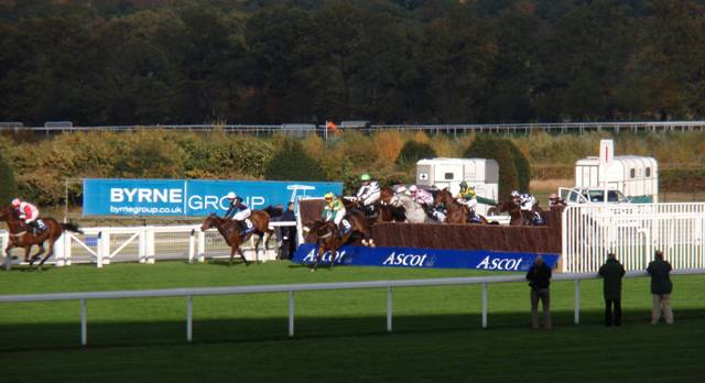 Ascot race 2 d r.jpg