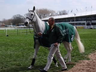 G Neptune Collonges.jpg
