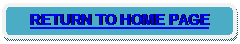 Rounded Rectangle: RETURN TO HOME PAGE
