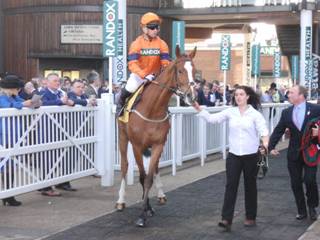 Race 5 f Sam Spinner.jpg