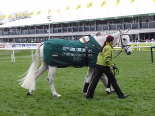 neptune collonges.jpg