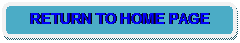 Rounded Rectangle: RETURN TO HOME PAGE