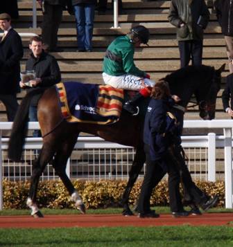 Cheltenham 24 Jan 09 red 2.jpg