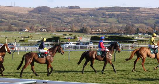 Cheltenham 24 Jan 09 red 6.jpg
