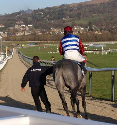 Cheltenham 24 Jan 09 red 10.jpg