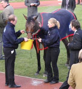 Cheltenham race 1 c r.jpg