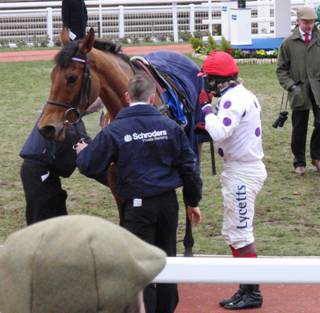 cheltenham 29 Jan 2011 v r.jpg