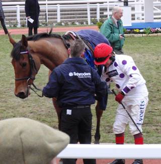 cheltenham 29 Jan 2011 u r.jpg