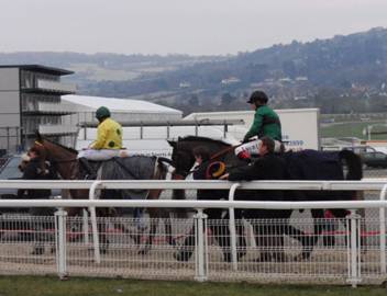 cheltenham 29 Jan 2011 y r.jpg