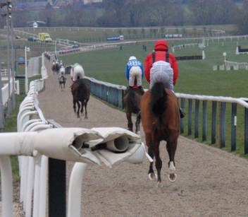 cheltenham 29 Jan 2011 z1 r.jpg
