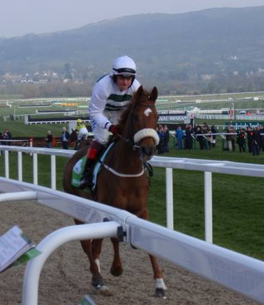 Cheltenham 2011 Day 1 k r.jpg