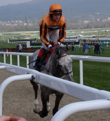 Cheltenham 2011 Day 1 p r.jpg