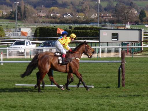 Cheltenham Day 4 2011 h r.jpg