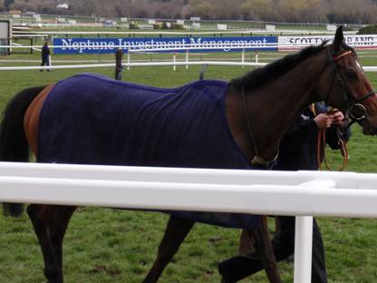 Cheltenham Day 4 2011 k r.jpg