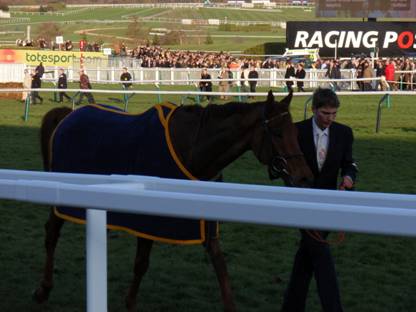 Cheltenham Day 4 2011 l r.jpg
