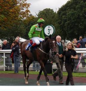 Fontwell 07 Sep 08 Thumbnail 6.jpg