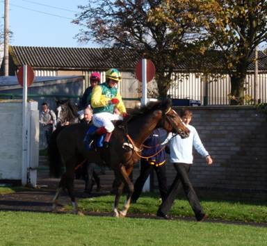 Huntingdon 29 Oct 08 Thumbnail.jpg