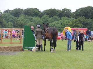 gate jumping competition winner r.jpg