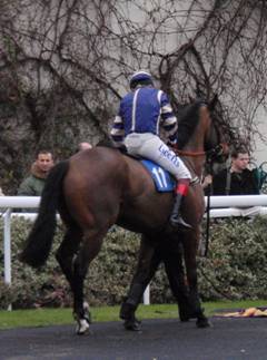 Kempton Park 15 Jan 2011 b r.jpg
