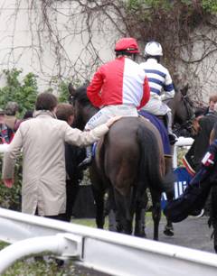 Kempton Park 15 Jan 2011 o r.jpg